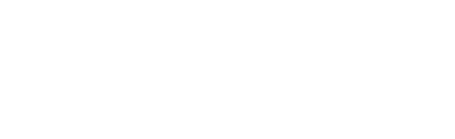 Advanced Applications Specialists